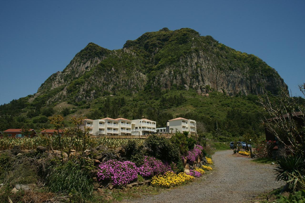 济州海洋山庄度假屋 西归浦市 外观 照片